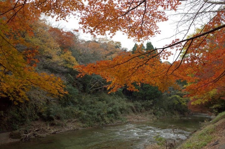 A Day Trip To Otaki And Yoro Valley - Travel Back To The Time Of The Samurai!