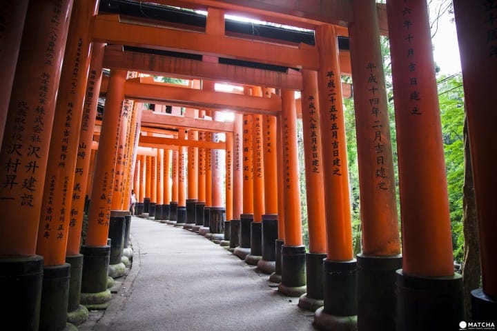 Kyoto Complete Guide: Travel Tips, Sightseeing, Festivals And More!