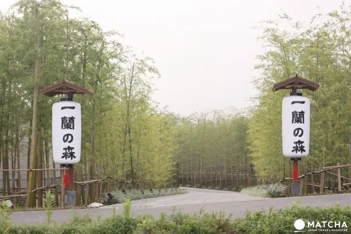 日本人氣美食秘密大公開～各地觀光工廠巡禮去！