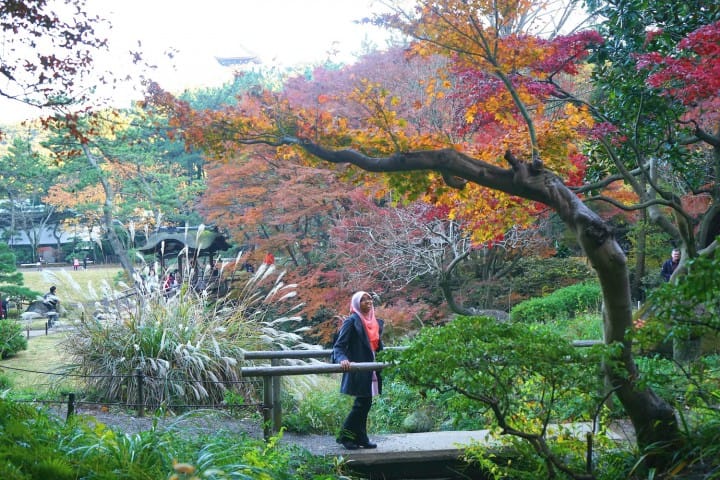 Muslim-Friendly Yokohama - Wear A Kimono And Enjoy Tea Ceremony!