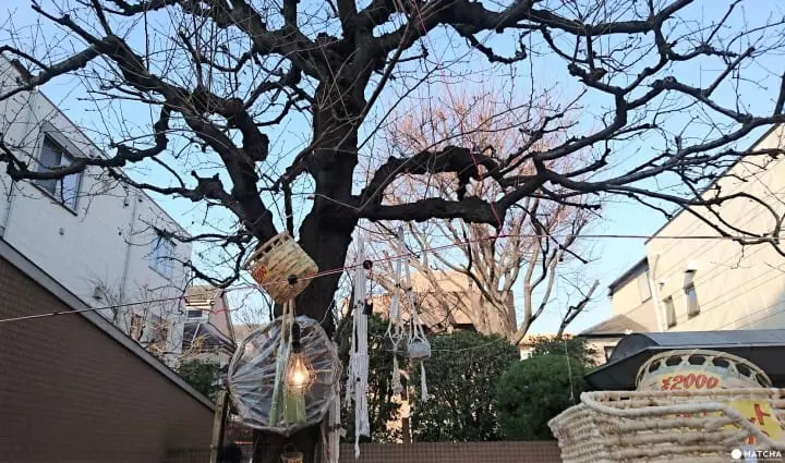 挖寶與排隊小吃之必要！日本最大二手市集「世田谷ボロ市」攻略