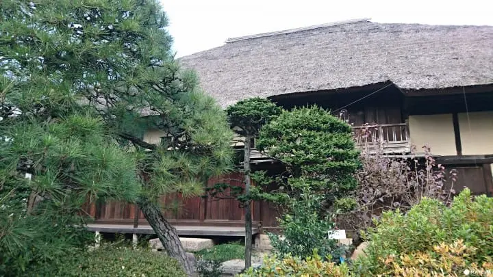 挖寶與排隊小吃之必要！日本最大二手市集「世田谷ボロ市」攻略