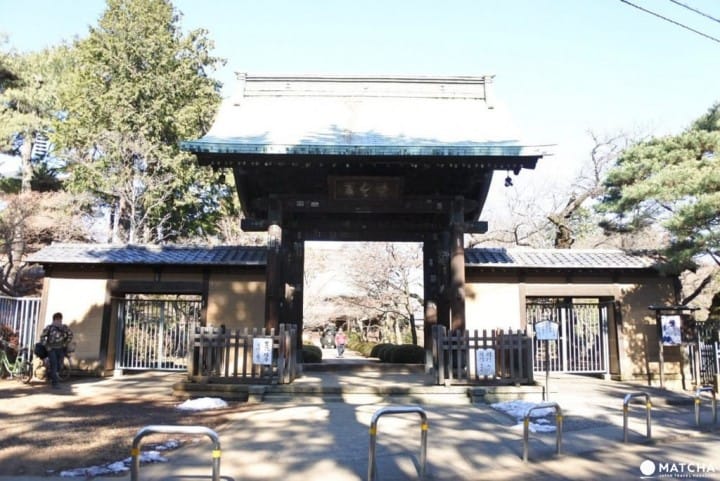 豪德寺