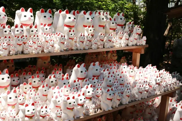 喵呜～在世田谷寻找猫咪！搭上可爱招财猫电车一起散策去