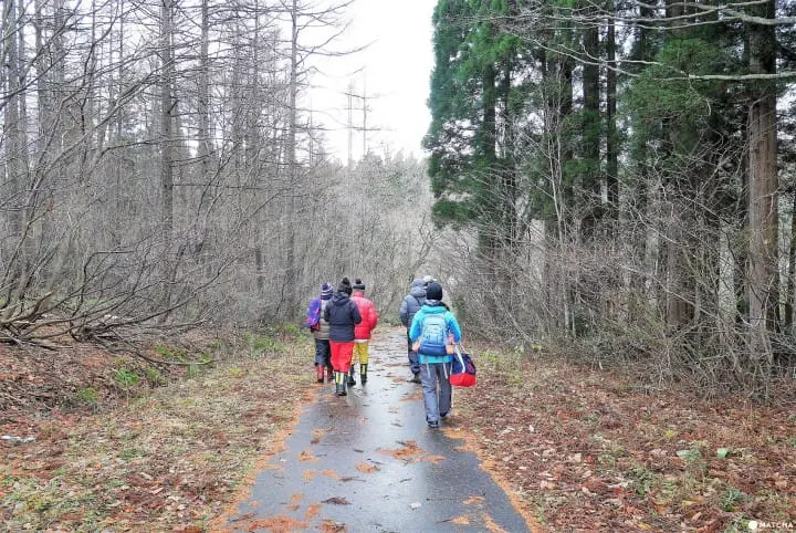 森林セラピー入り口