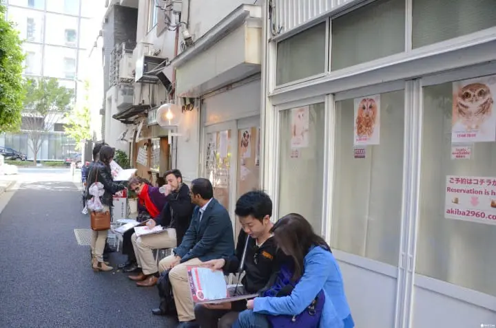 大人気のフクロウカフェ「アキバフクロウ」に行ってみた