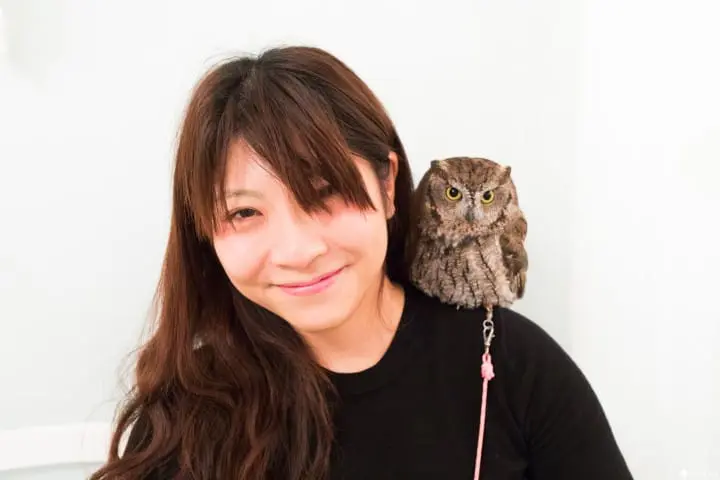 大人気のフクロウカフェ「アキバフクロウ」に行ってみた