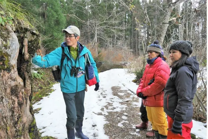 森林セラピーとは