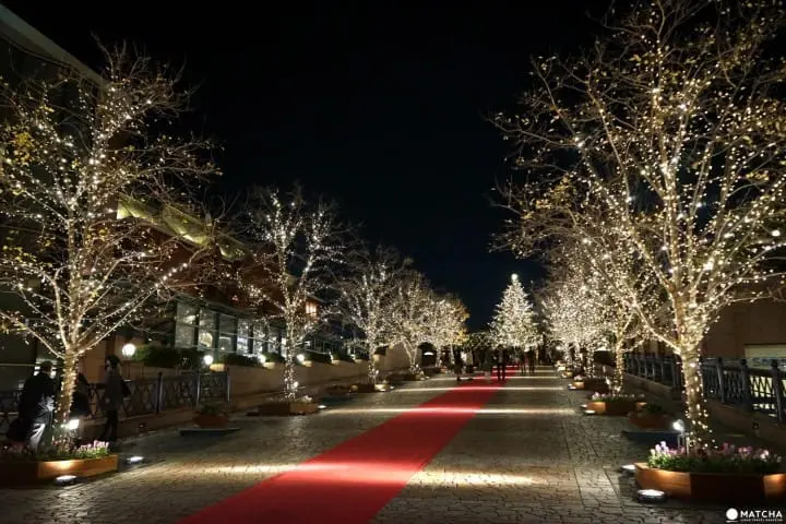 Yebisu Garden Place Winter Illuminations - Warm Christmas Lights And Mulled Wine