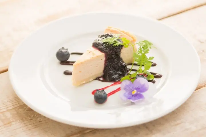 ain-soph素食起司蛋糕新宿