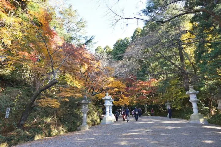 เพียง 1 ชั่วโมงจากโตเกียว! สู่มนต์เสน่ห์ของเมืองและศาลเจ้าเก่าแก่แห่ง