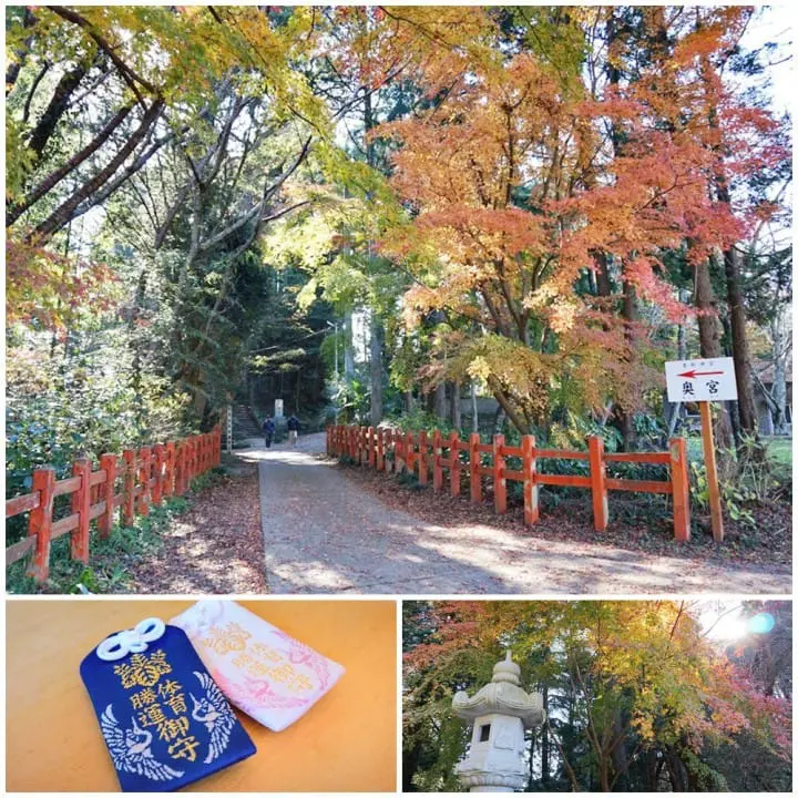 เพียง 1 ชั่วโมงจากโตเกียว! สู่มนต์เสน่ห์ของเมืองและศาลเจ้าเก่าแก่แห่ง