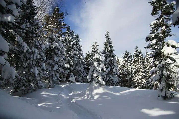 Free ride in Hida Takayama region with the Three-Star Alps Unlimited Ride Shinjuku Pass