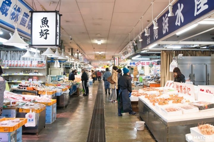 築地市場よりも大迫力 鳥取 境漁港の食 体験を徹底解説 Matcha 訪日外国人観光客向けwebマガジン