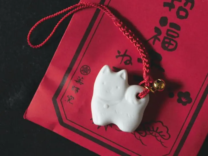 Cute Items To Help You Celebrate The Year Of The Dog