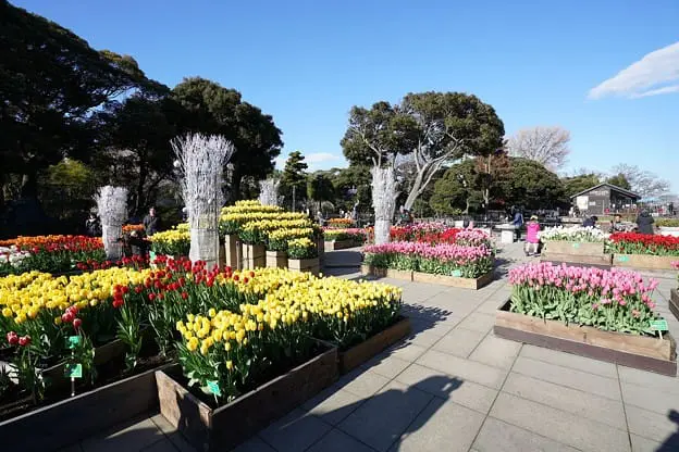 每到夏天就要去海边？冬季的江之岛也好玩！