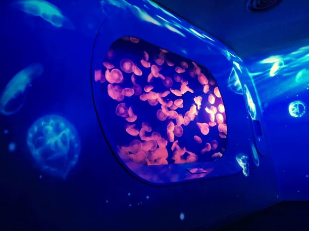 每到夏天就要去海边？冬季的江之岛也好玩！