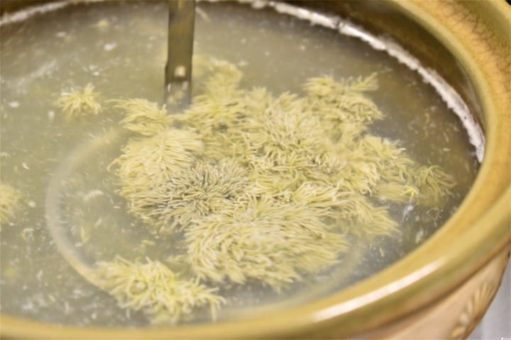 【福井@住宿@美食】最幸福!民宿CHIHIRO贴心款待好窝心,越前蟹全餐超满足