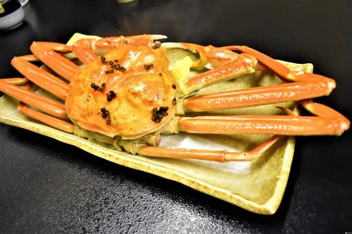 【福井＠住宿＠美食】最幸福！民宿CHIHIRO貼心款待好窩心，越前蟹全餐超滿足