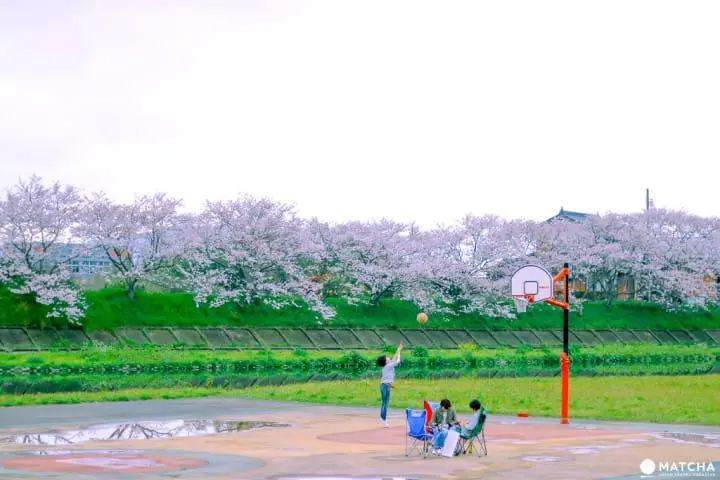 山口_観月河川公園3