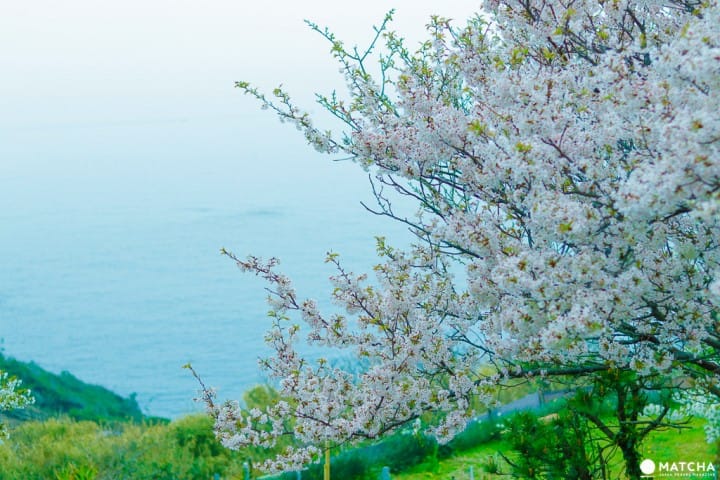 山口_元乃隅稲荷神社 2