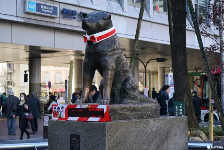 5 Places Related To Hachiko - Follow The Pawsteps Of The Famous Dog!