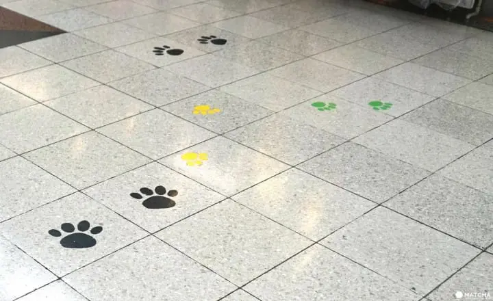 5 Places Related To Hachiko - Follow The Pawsteps Of The Famous Dog!