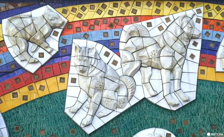 5 Places Related To Hachiko - Follow The Pawsteps Of The Famous Dog!