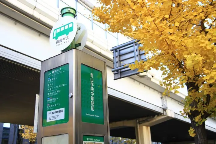 Unforgettable memories of Tokyo’s brilliant winter with Toei 1 Day Pass