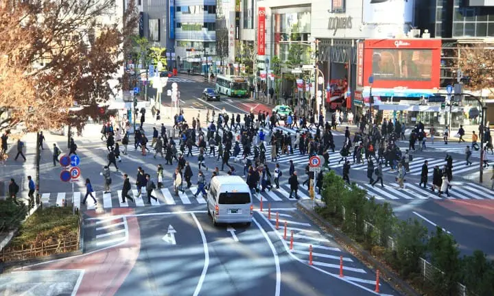 Unforgettable memories of Tokyo’s brilliant winter with Toei 1 Day Pass