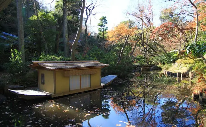 Unforgettable memories of Tokyo’s brilliant winter with Toei 1 Day Pass