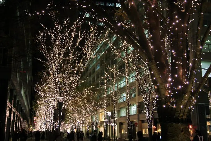 Unforgettable memories of Tokyo’s brilliant winter with Toei 1 Day Pass