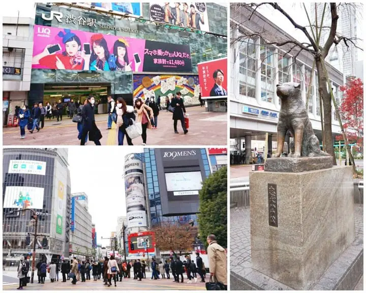 สัมผัสอีกด้านของโตเกียว แผนเที่ยวโดยรถบัสในหนึ่งวัน จากชิบูย่าไปจนชมไฟประดับสถานีโตเกียว