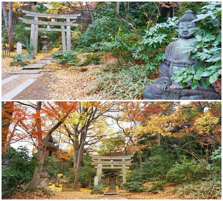 สัมผัสอีกด้านของโตเกียว แผนเที่ยวโดยรถบัสในหนึ่งวัน จากชิบูย่าไปจนชมไฟประดับสถานีโตเกียว