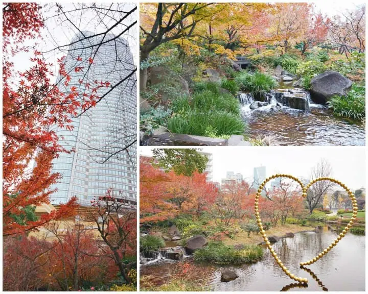 สัมผัสอีกด้านของโตเกียว แผนเที่ยวโดยรถบัสในหนึ่งวัน จากชิบูย่าไปจนชมไฟประดับสถานีโตเกียว