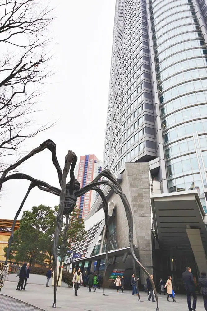 สัมผัสอีกด้านของโตเกียว แผนเที่ยวโดยรถบัสในหนึ่งวัน จากชิบูย่าไปจนชมไฟประดับสถานีโตเกียว