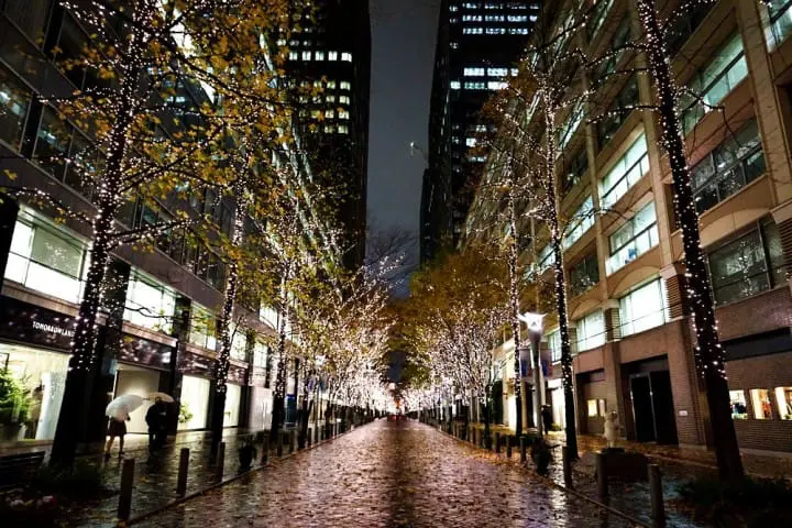 สัมผัสอีกด้านของโตเกียว แผนเที่ยวโดยรถบัสในหนึ่งวัน จากชิบูย่าไปจนชมไฟประดับสถานีโตเกียว