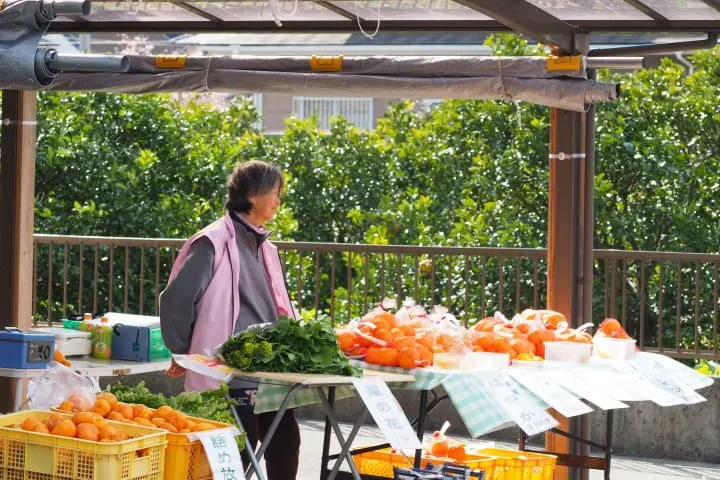河津川河津櫻花 蔬果攤販