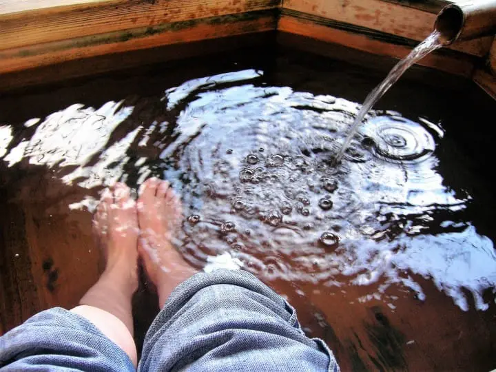 伊豆賞櫻泡足湯