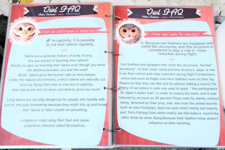 フクロウカフェメニュー