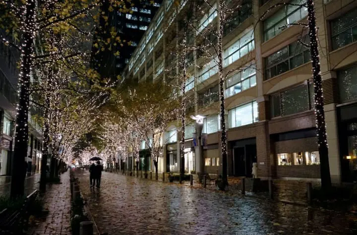 สัมผัสอีกด้านของโตเกียว แผนเที่ยวโดยรถบัสในหนึ่งวัน จากชิบูย่าไปจนชมไฟประดับสถานีโตเกียว