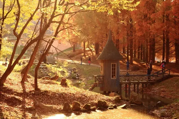 輕鬆從東京出發！悠然的西武鐵道「秩父之旅」