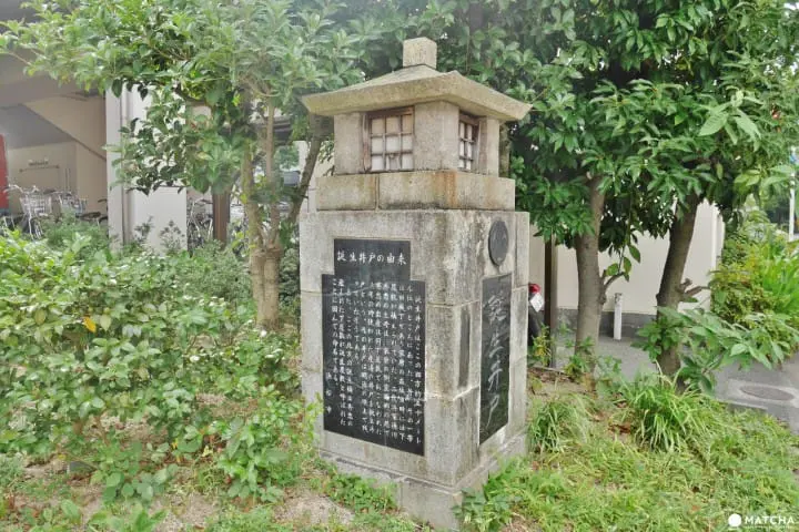 濱松德川秀忠井戶