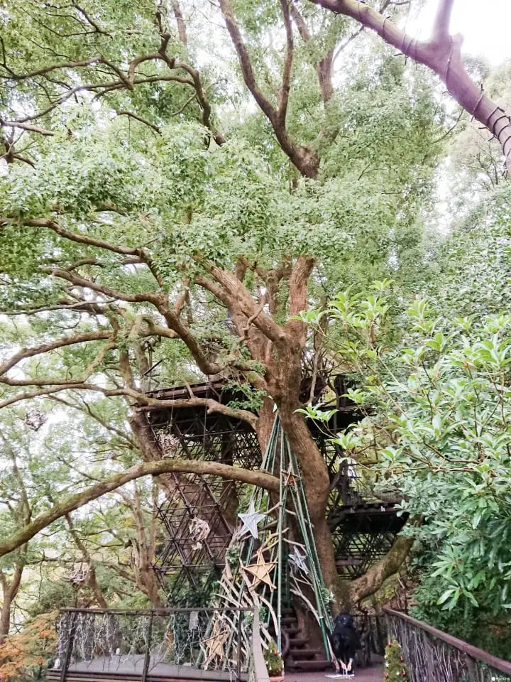 【热海】家庭渡假温泉饭店 星野リゾナーレ热海