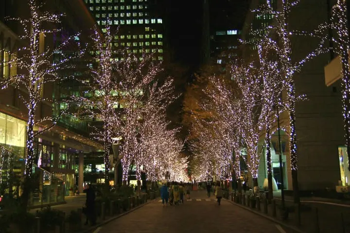 Tour Tokyo's Brilliant Winter Spots With The Convenient Toei 1 Day Pass