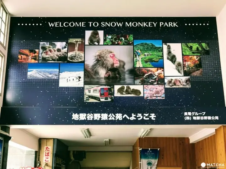 AIBIYA Hostel โฮสเทลน่ารักและเป็นส่วนตัว ท่ามกลางธรรมชาติอันแสนสงบ