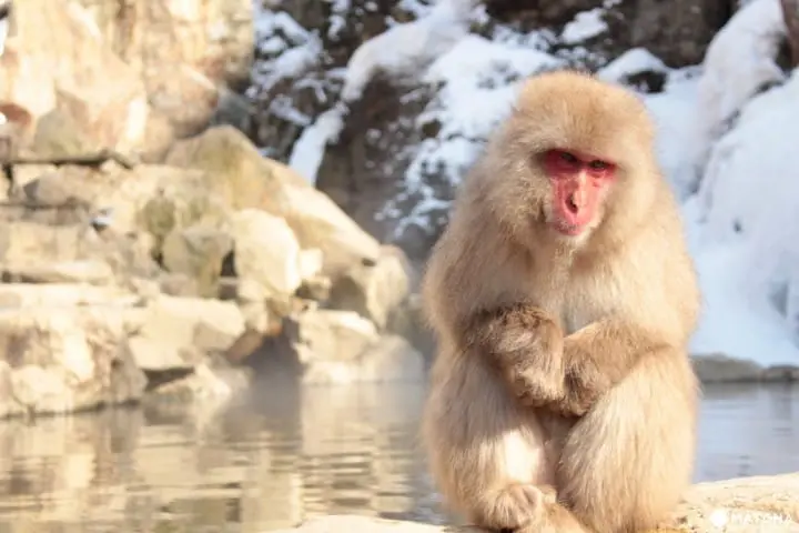 AIBIYA Hostel โฮสเทลน่ารักและเป็นส่วนตัว ท่ามกลางธรรมชาติอันแสนสงบ