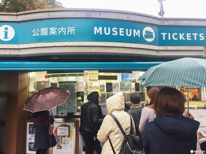 Grutto Pass购买地点