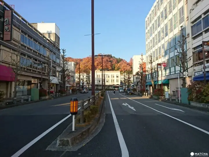 【东京】来怀旧老街“青梅”散步找猫咪！