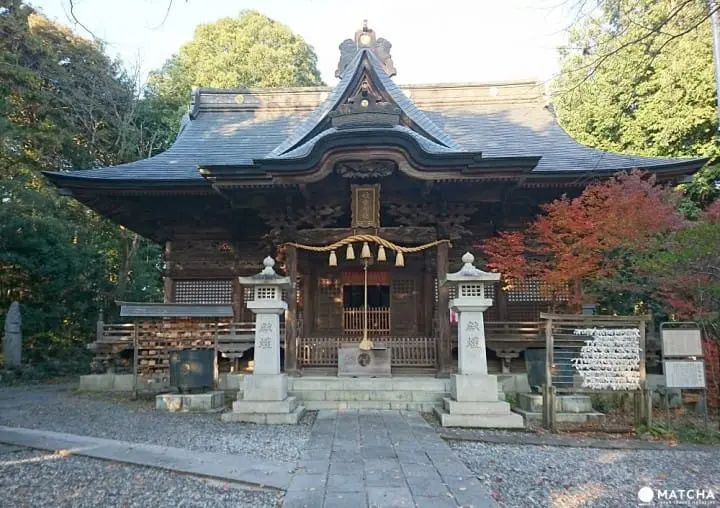 【东京】来怀旧老街“青梅”散步找猫咪！